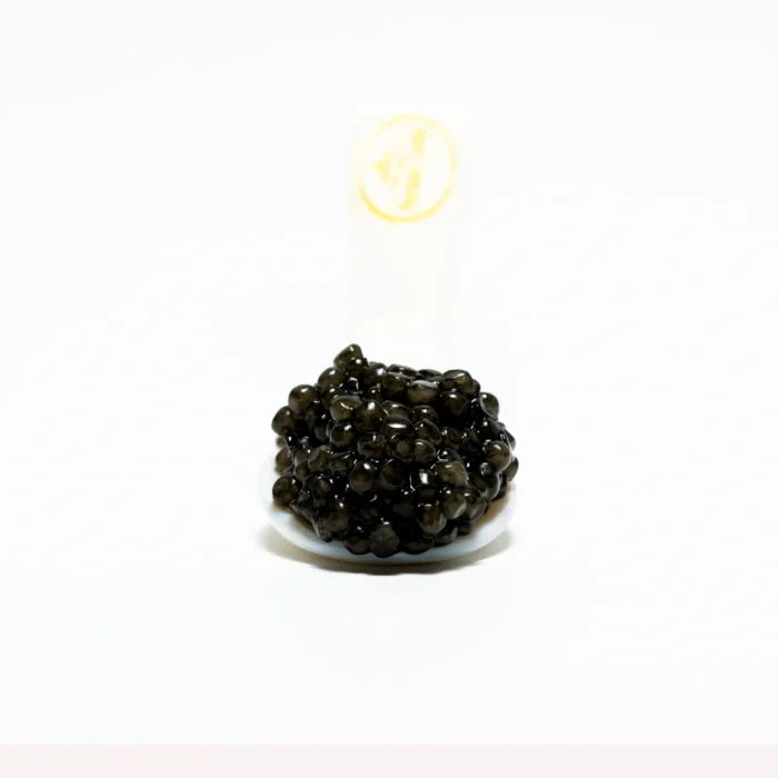 Blck Parel Premium - Afbeelding 2