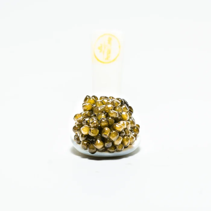 Imperial Royalty Selection - Image 2