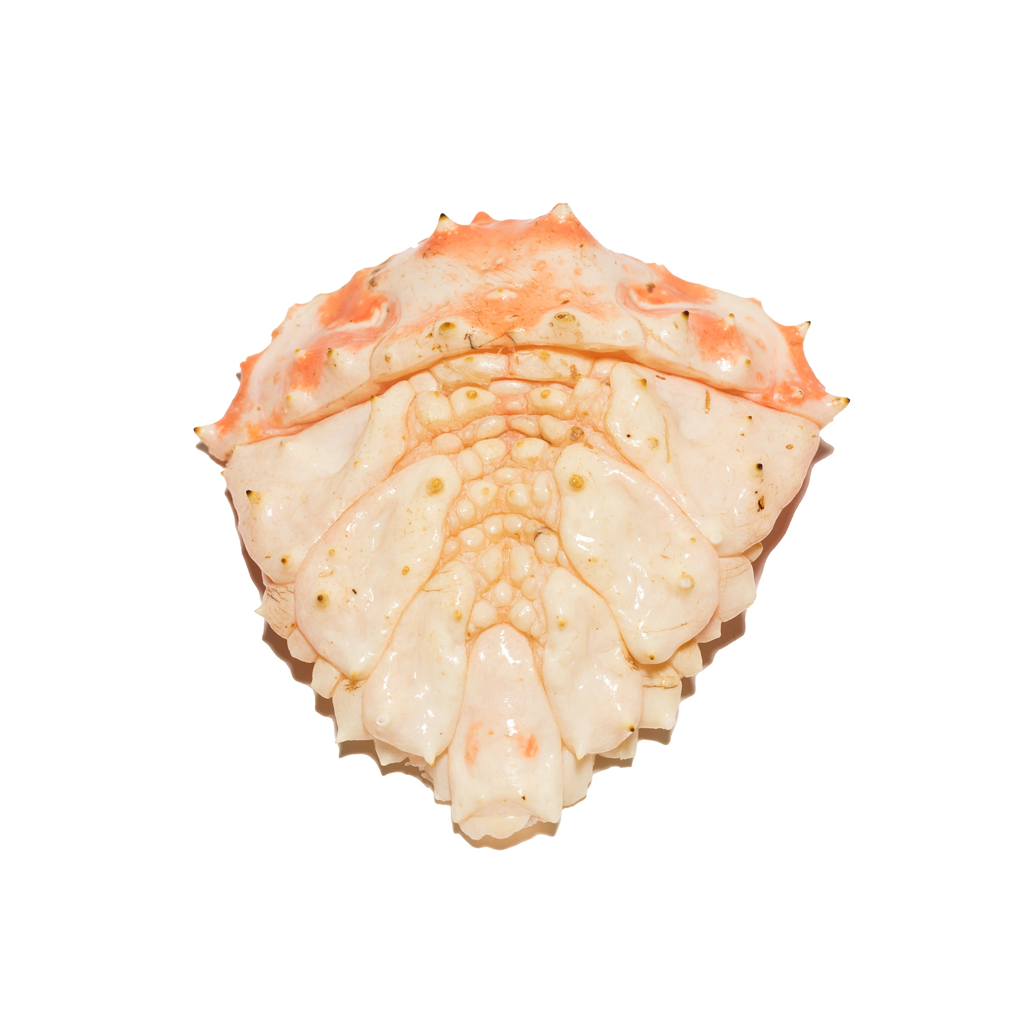 koningskrab staart-1 King Crab Tails - Afbeelding 1