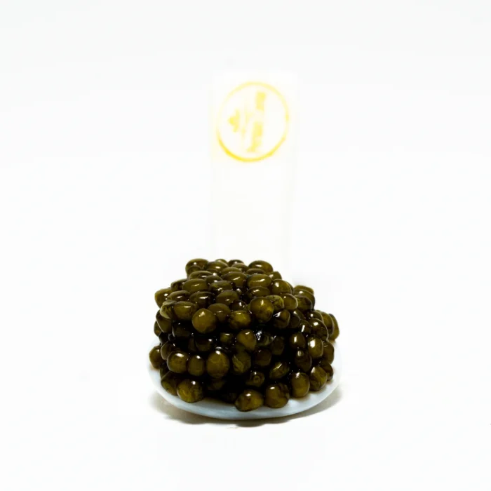 Osciëtra Black Label - Image 2