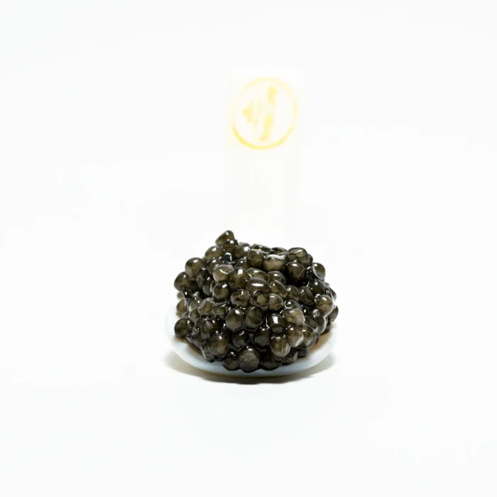 Blck Pearl Royalty Selection - Image 2